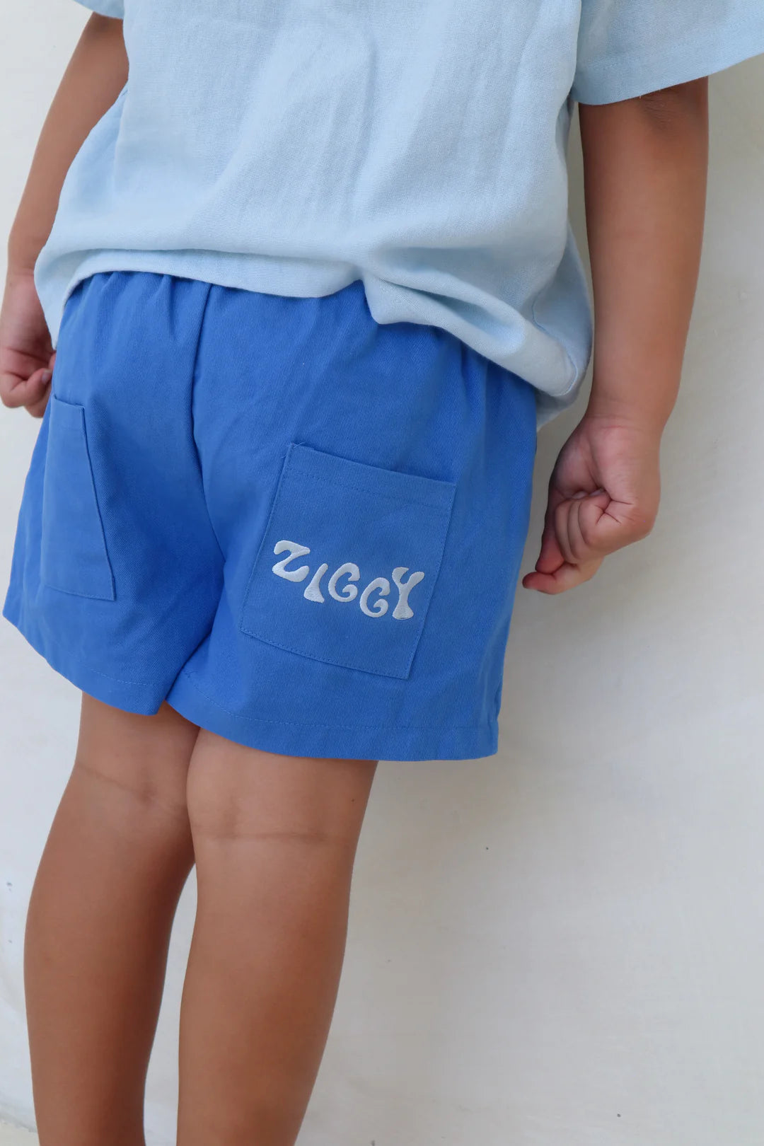 CANVAS SHORTS | ZEN