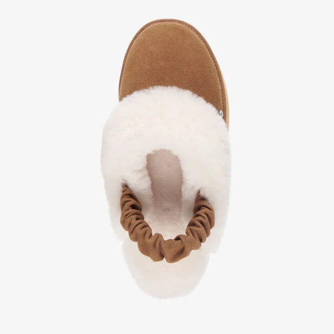 Hartz Slipper - Chestnut