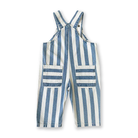 Denim Stripe Overalls